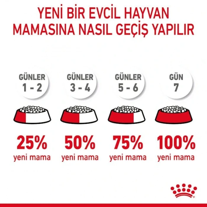 Royal Canin Hair&Skin Care Kedi Kuru Maması 10 kg