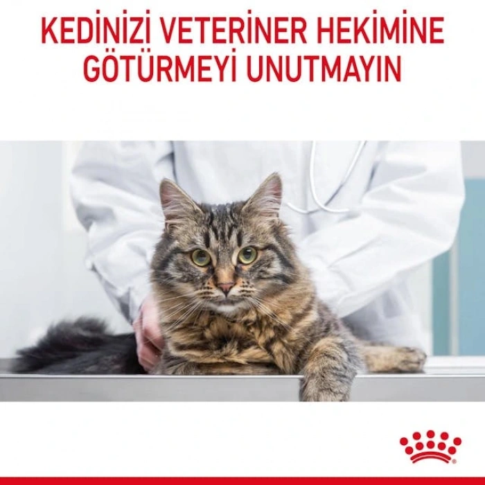 Royal Canin Hairball Care Yetişkin Kedi Kuru Maması 4 kg