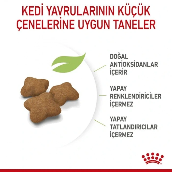Royal Canin Kitten Sterilised Yavru Kedi Kuru Maması 2 kg