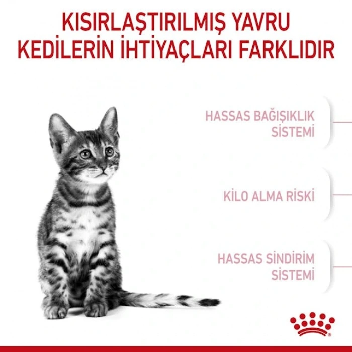 Royal Canin Kitten Sterilised Yavru Kedi Kuru Maması 400 gr