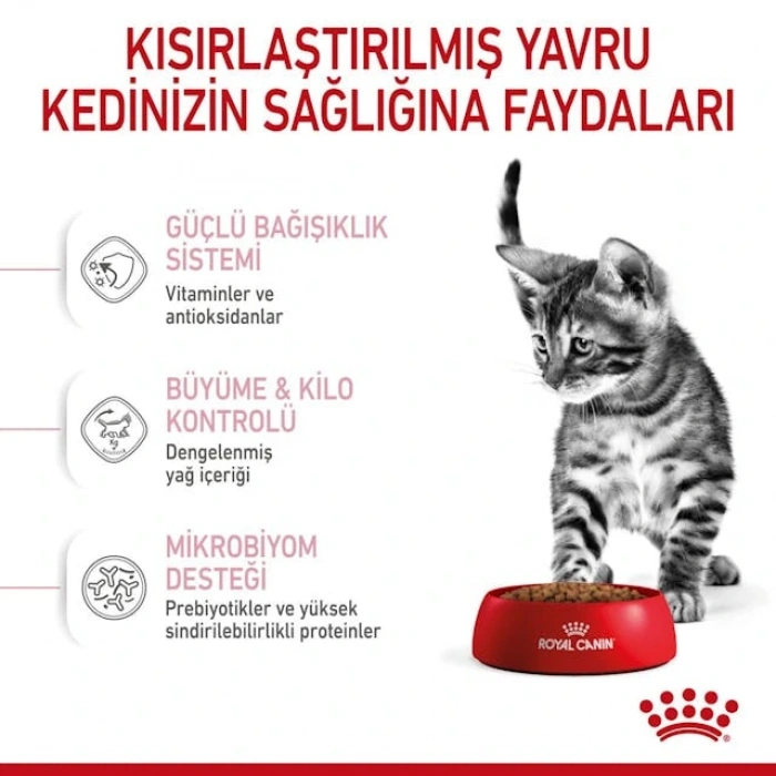 Royal Canin Kitten Sterilised Yavru Kedi Kuru Maması 400 gr