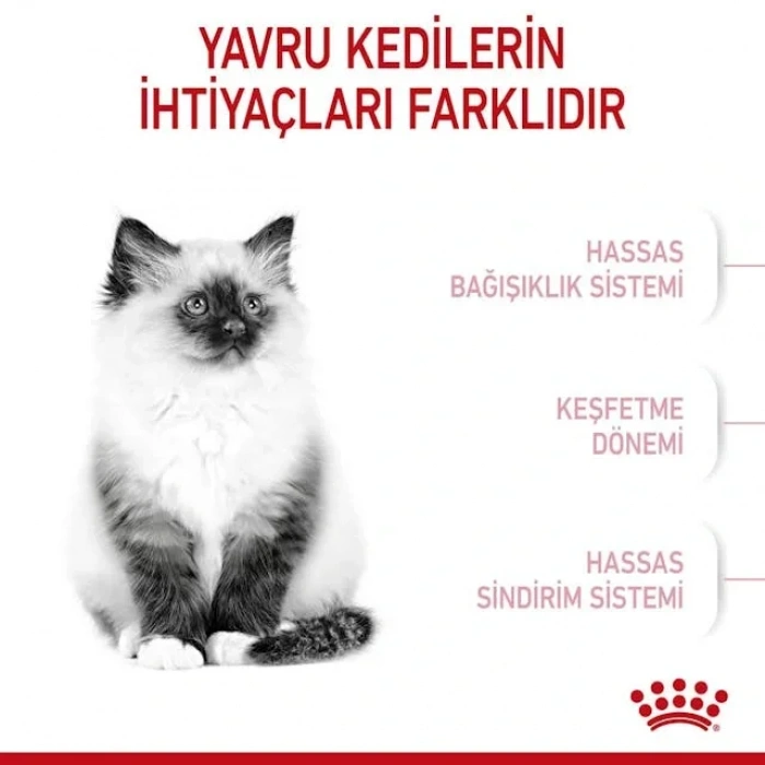 Royal Canin Kitten Yavru Kedi Kuru Maması 2 kg