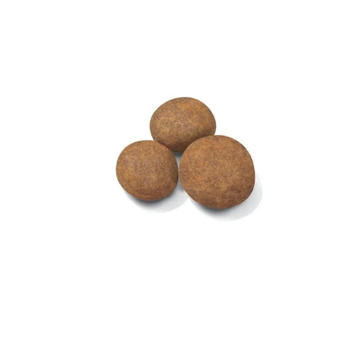 Royal Canin Maxi Puppy Yavru Köpek Kuru Maması 15 kg