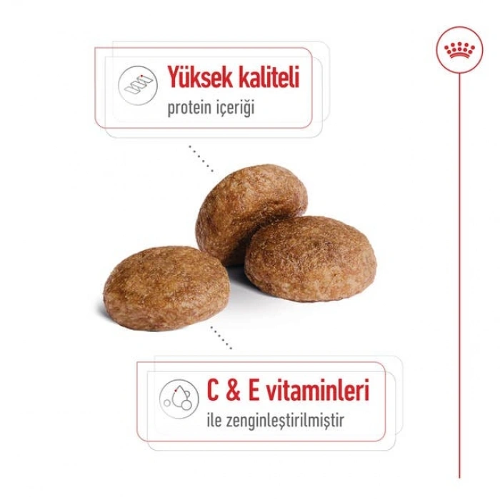Royal Canin Medium Adult Yetişkin Köpek Kuru Maması 15 kg