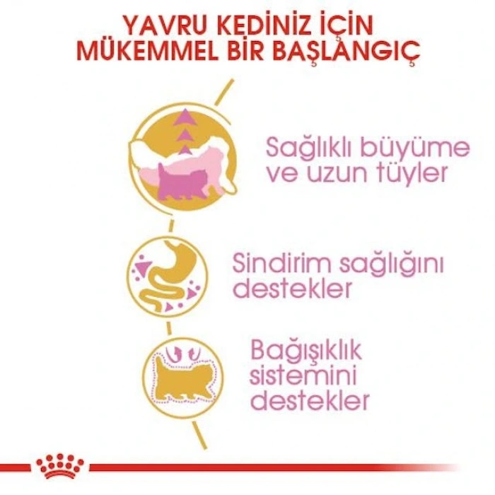 Royal Canin Persian Kitten Yavru Kedi Kuru Maması 2 kg