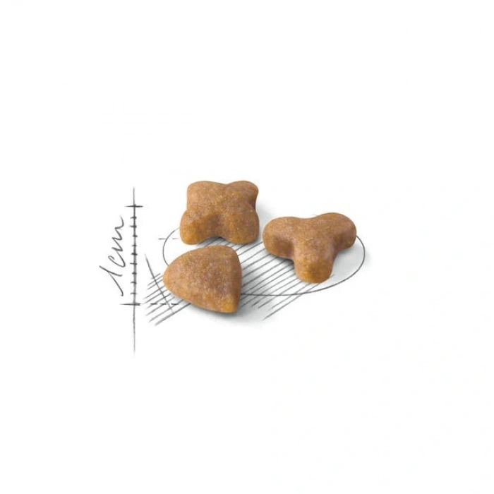 Royal Canin Sensible 33 Yetişkin Kedi Kuru Maması 2 kg