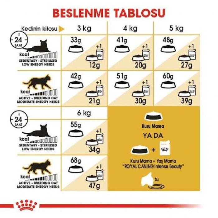 Royal Canin Siamese Adult Yetişkin Kedi Kuru Maması 2 kg
