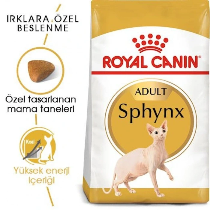 Royal Canin Sphynx Adult Yetişkin Kedi Kuru Maması 2 kg
