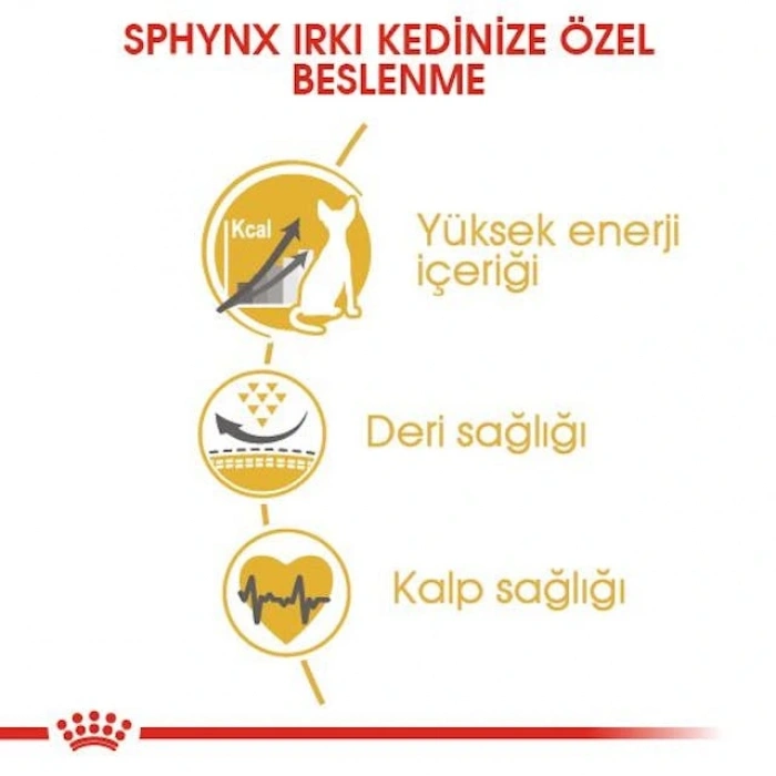 Royal Canin Sphynx Adult Yetişkin Kedi Kuru Maması 2 kg