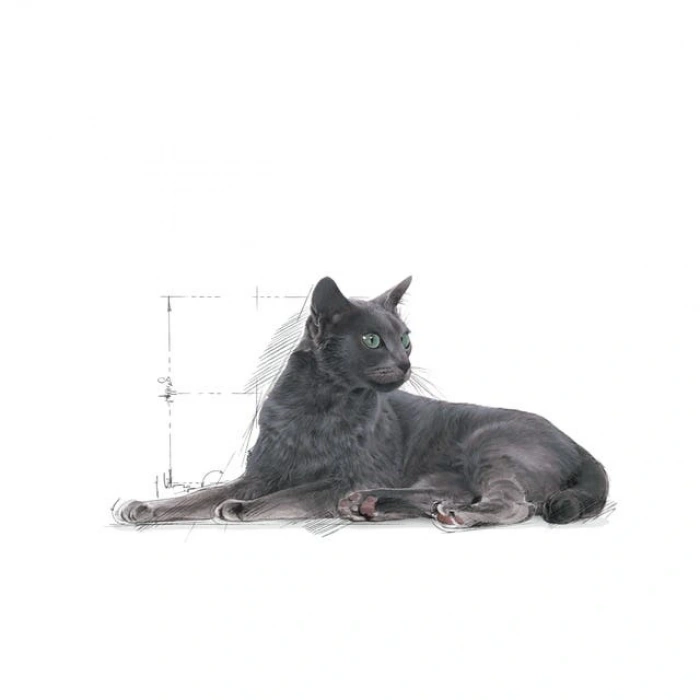 Royal Canin Sterilised 7+ Yaşlı Kedi Kuru Maması 3,5 kg