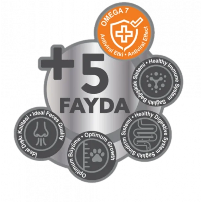 Signature Somonlu ve Hamsili Kısırlaştırılmış Yetişkin Kedi Maması 2 kg