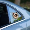 Fulcar Siamesse Araç Stickerı