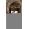 Harry Potter Koleksiyon Sürpriz Figür Oyuncak Seti