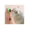 Yengeç Kedi Otu Oyun Topu