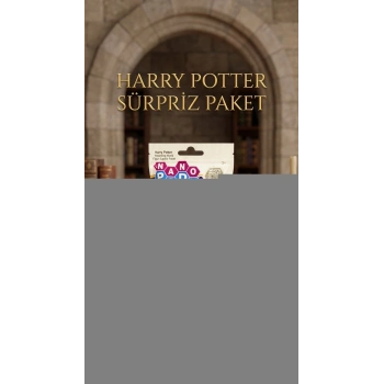 Harry Potter Koleksiyon Sürpriz Figür Oyuncak Seti
