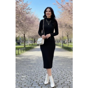 Kadın Uzun Kollu Balıkçı Yaka Triko Elbise