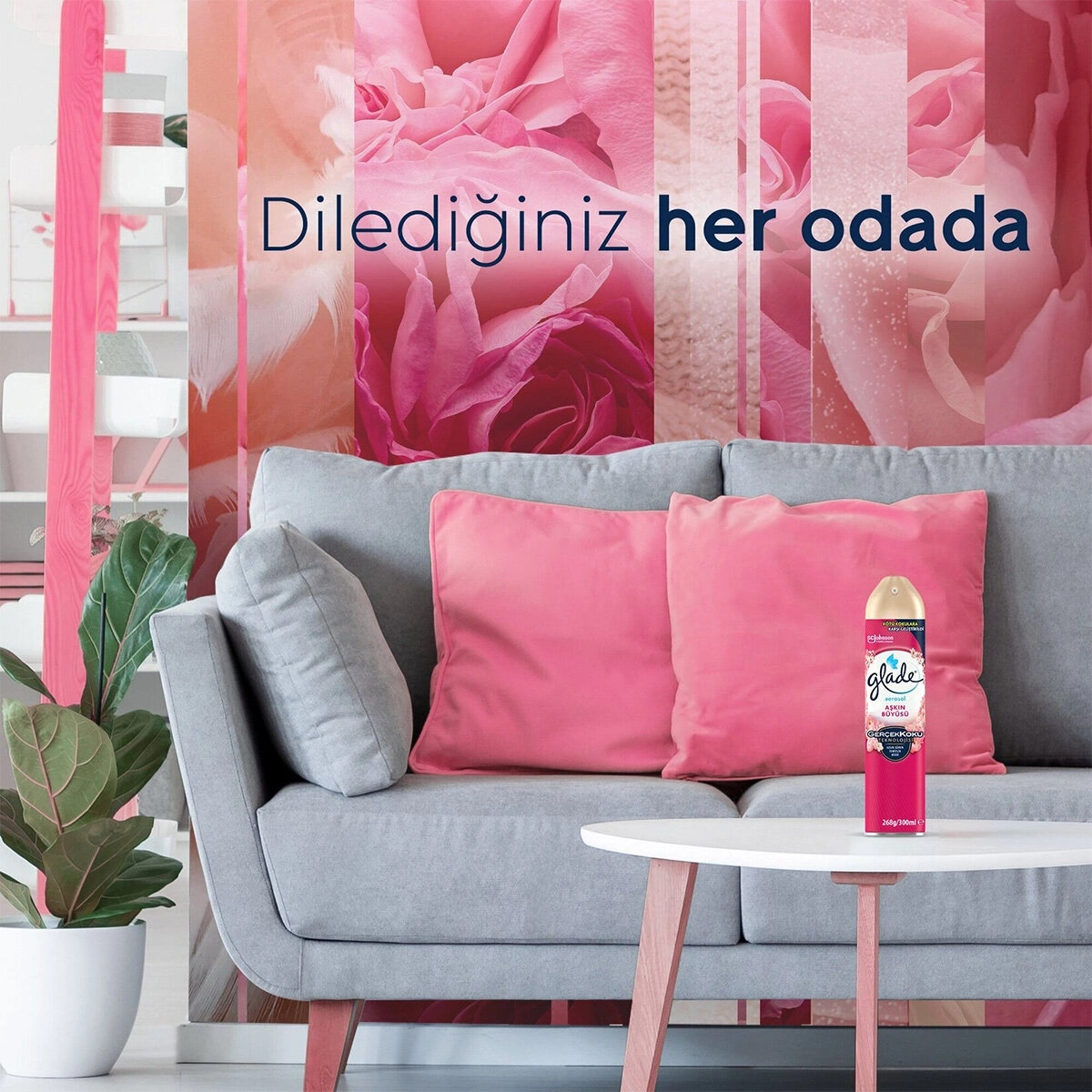 GLADE AEROSOL AŞKIN BÜYÜSÜ ORTAM ODA KOKUSU SPREY ( 300ML )*12=K