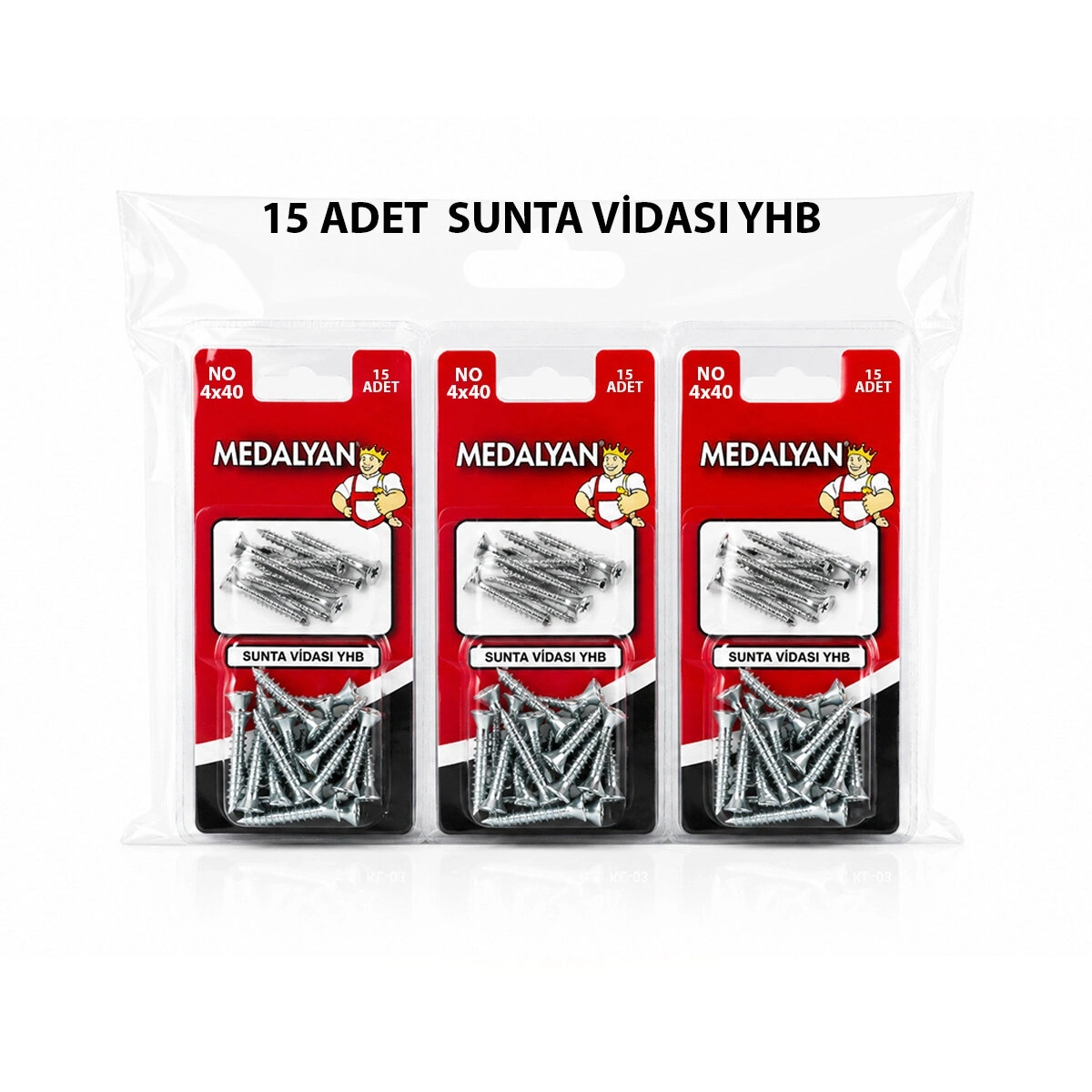 MEDALYAN DL-06 ( 4X40 ) ( 15PCS ) SUNTA VİDASI*12X10