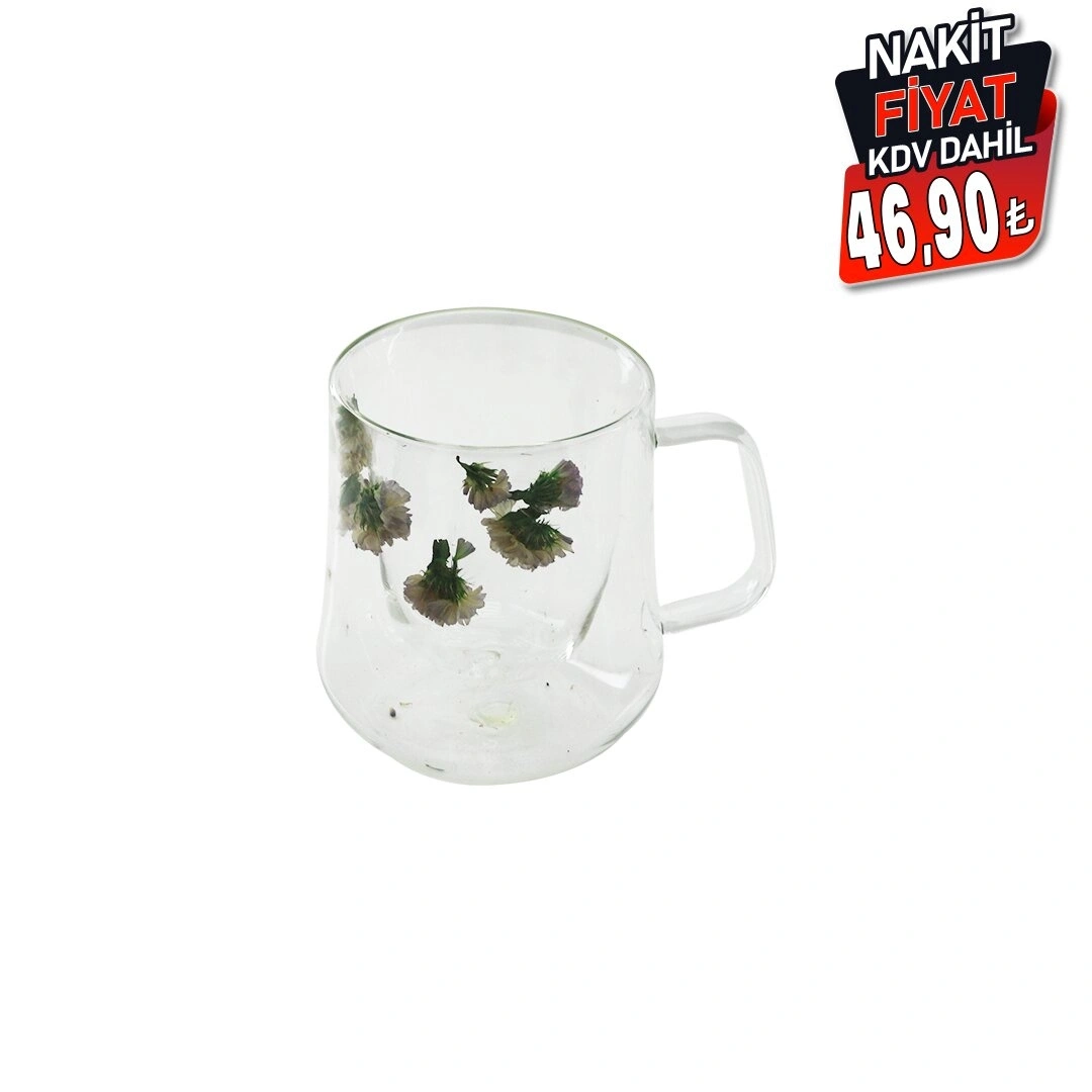 SDR-A4 ( 350ML & KULPLU ) ( ÇİFT CİDARLI & ÇİÇEKLİ ) CAM BARDAK*100=K                     qwe07
