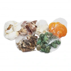 KRT NO-494 ( FİLELİ ) ( BEYAZ & RENKLİ MİX ) MİDYE DENİZ KABUK VAZO TAŞI*250