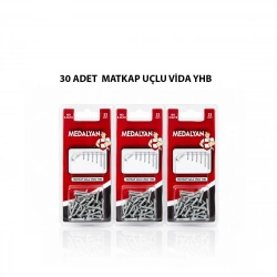 MEDALYAN DL-100 ( 3.9X19 ) ( 30PCS ) MATKAP UÇLU VİDA*12X12