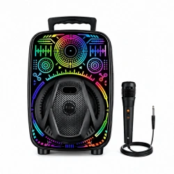 PLATOON PL-4660 CH-880 KARAOKE ( MİKROFONLU ) SPEAKER HOPARLÖR (BT & SD & USB SARJLI) ( RGB IŞIKLI) ( DC 5V & AUX ) ( 8 INCH )*8