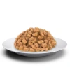 Felicia Tahılsız Tavuklu Yetişkin Kedi Konserve Yaş Maması 85 gr
