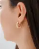 Bold Halka Altın Küpe