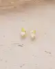 Civciv Altın Çocuk Küpe