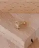 Kaplumbağa Piercing