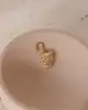 Kilitli Puma Kolye Ucu