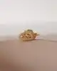 Kilitli Puma Kolye Ucu