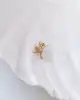 Kuş Piercing