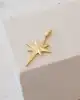 Kutup Yıldızı Altın Kolye Ucu