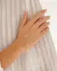 Kuyruklu Yıldız Şahmeran