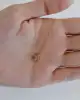 Mini Bold Harf Kolye