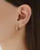 Mini Toplu Altın Halka Küpe