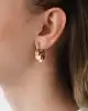 Pullu Shakira Altın Küpe