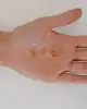 Taşlı Altın Halka Küpe