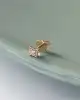 Tektaş Tragus Piercing