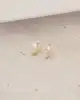 Yıldızlı Altın Çocuk Küpe