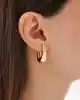 Bold Oval Halka Küpe