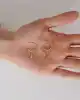 Damla Taşlı Altın Halka Küpe