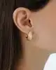 Altın Dokulu Bold Halka Küpe