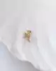 Altın Kuş Piercing