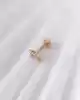 Altın Kuş Piercing