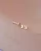 Balık Piercing