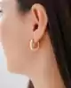 Bold Halka Altın Küpe