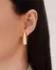 Bold Oval Halka Küpe