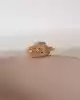 Kilitli Puma Kolye Ucu